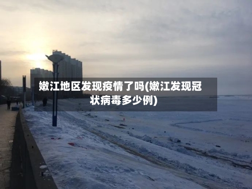 嫩江地区发现疫情了吗(嫩江发现冠状病毒多少例)