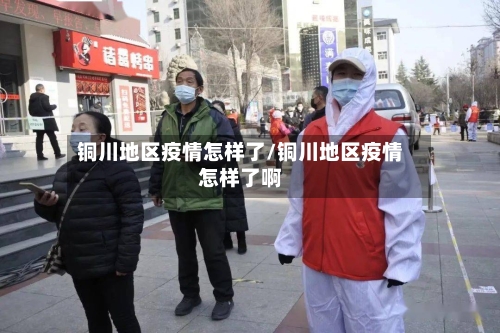 铜川地区疫情怎样了/铜川地区疫情怎样了啊