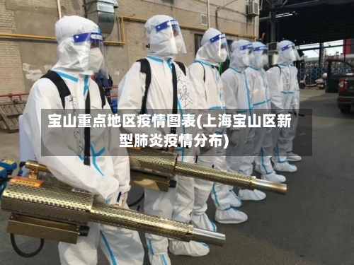 宝山重点地区疫情图表(上海宝山区新型肺炎疫情分布)-第3张图片