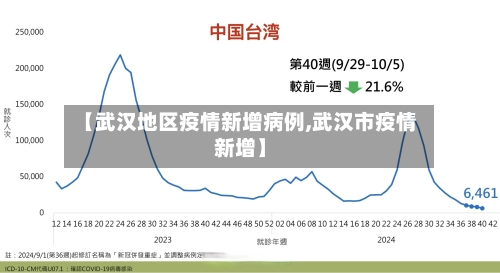【武汉地区疫情新增病例,武汉市疫情新增】-第2张图片