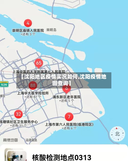 【沈阳地区疫情实况如何,沈阳疫情地图查询】