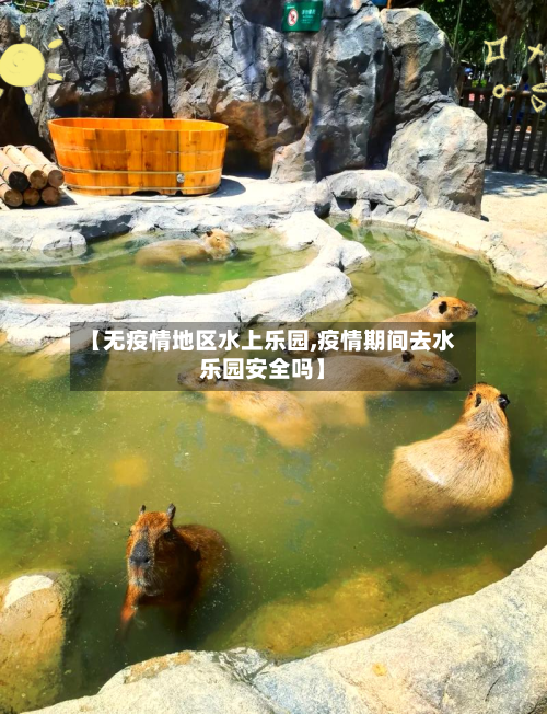 【无疫情地区水上乐园,疫情期间去水乐园安全吗】