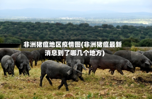 非洲猪瘟地区疫情图(非洲猪瘟最新消息到了哪几个地方)-第3张图片