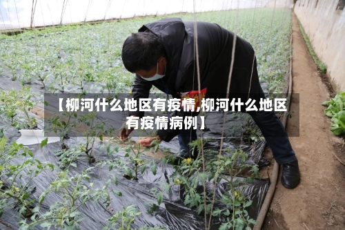 【柳河什么地区有疫情,柳河什么地区有疫情病例】