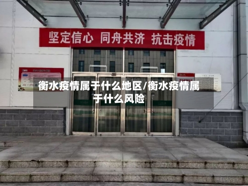 衡水疫情属于什么地区/衡水疫情属于什么风险-第2张图片