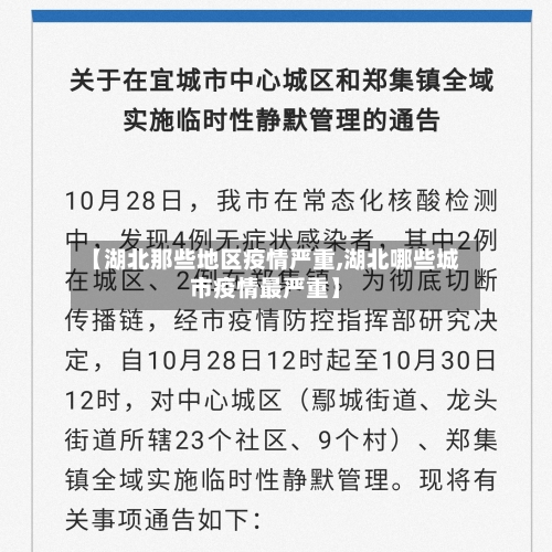 【湖北那些地区疫情严重,湖北哪些城市疫情最严重】-第2张图片