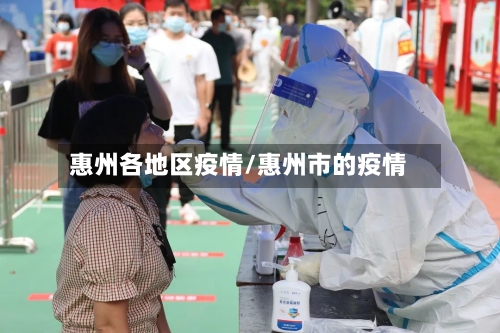 惠州各地区疫情/惠州市的疫情