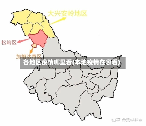 各地区疫情哪里看(本地疫情在哪看)