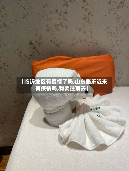 【临沂地区有疫情了吗,山东临沂近来有疫情吗,我要往前去】-第3张图片