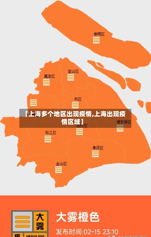 【上海多个地区出现疫情,上海出现疫情区域】-第3张图片