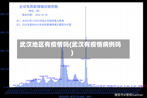 武汉地区有疫情吗(武汉有疫情病例吗)-第2张图片