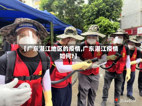 【广东湛江地区的疫情,广东湛江疫情如何?】-第2张图片
