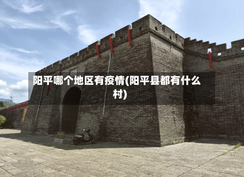 阳平哪个地区有疫情(阳平县都有什么村)