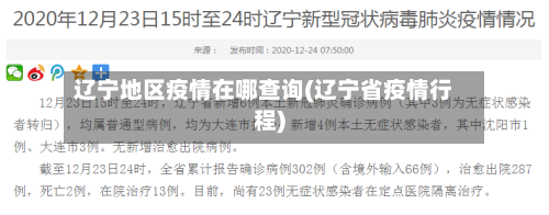 辽宁地区疫情在哪查询(辽宁省疫情行程)-第3张图片