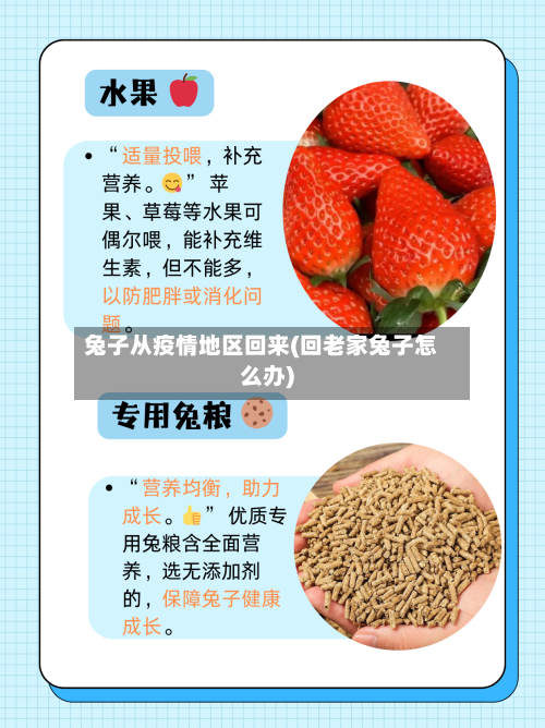 兔子从疫情地区回来(回老家兔子怎么办)-第2张图片