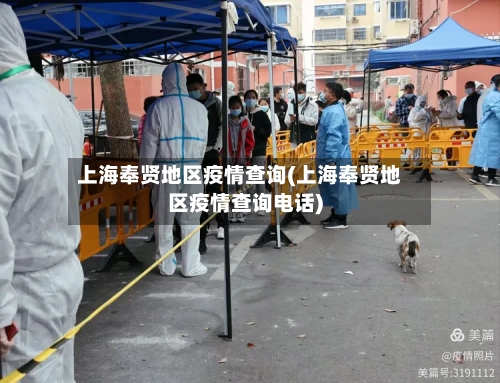 上海奉贤地区疫情查询(上海奉贤地区疫情查询电话)