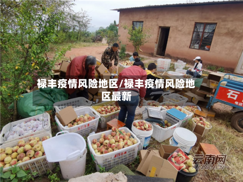 禄丰疫情风险地区/禄丰疫情风险地区最新