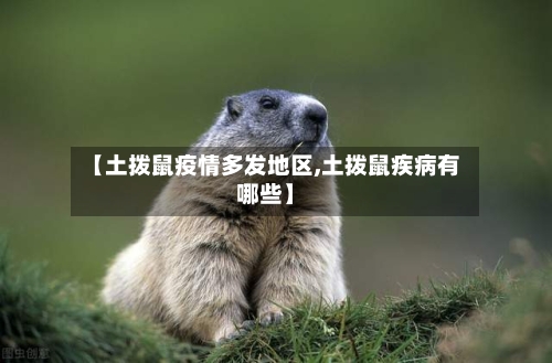 【土拨鼠疫情多发地区,土拨鼠疾病有哪些】