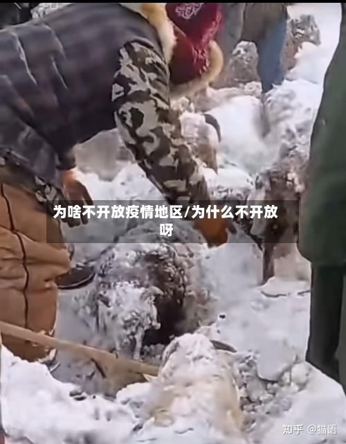 为啥不开放疫情地区/为什么不开放呀-第2张图片