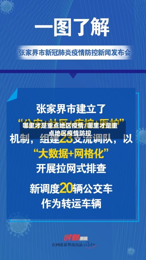 哪里才是重点地区疫情/哪里才是重点地区疫情防控