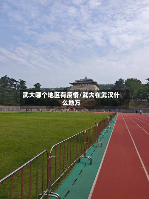 武大哪个地区有疫情/武大在武汉什么地方