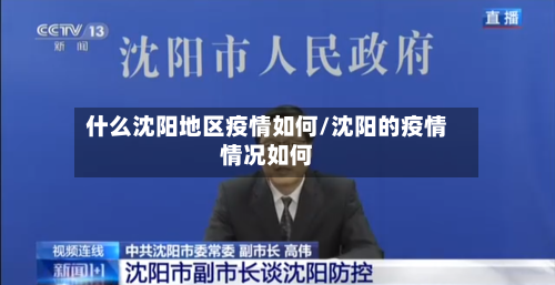 什么沈阳地区疫情如何/沈阳的疫情情况如何-第2张图片