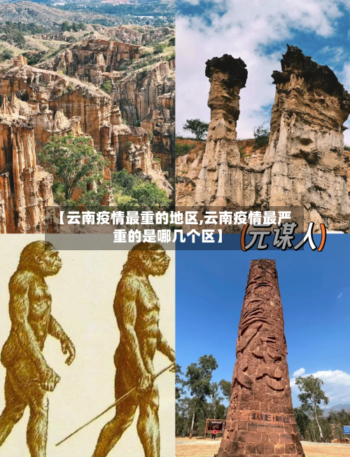 【云南疫情最重的地区,云南疫情最严重的是哪几个区】-第2张图片