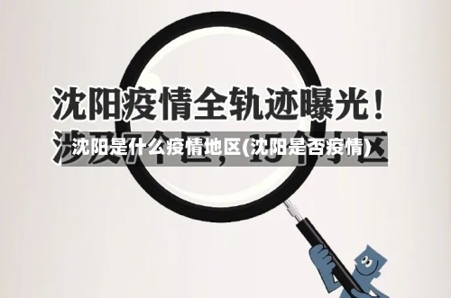 沈阳是什么疫情地区(沈阳是否疫情)