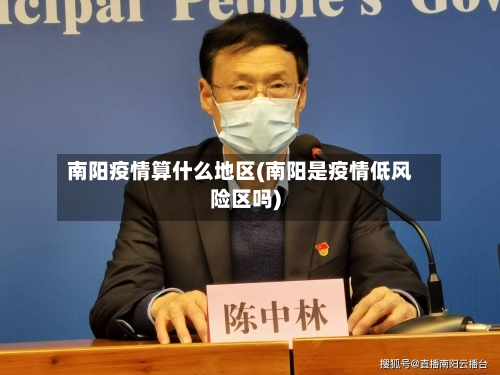 南阳疫情算什么地区(南阳是疫情低风险区吗)-第3张图片