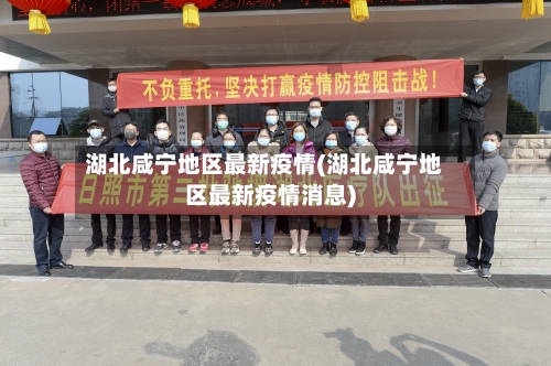 湖北咸宁地区最新疫情(湖北咸宁地区最新疫情消息)