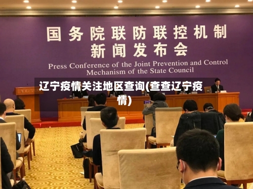 辽宁疫情关注地区查询(查查辽宁疫情)