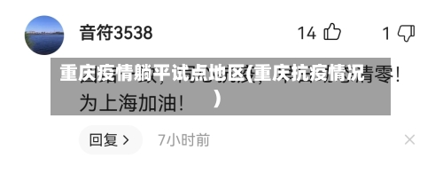 重庆疫情躺平试点地区(重庆抗疫情况)-第2张图片