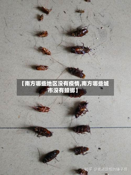 【南方哪些地区没有疫情,南方哪些城市没有蟑螂】
