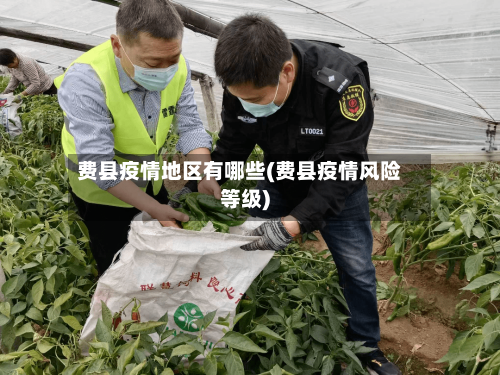 费县疫情地区有哪些(费县疫情风险等级)-第2张图片