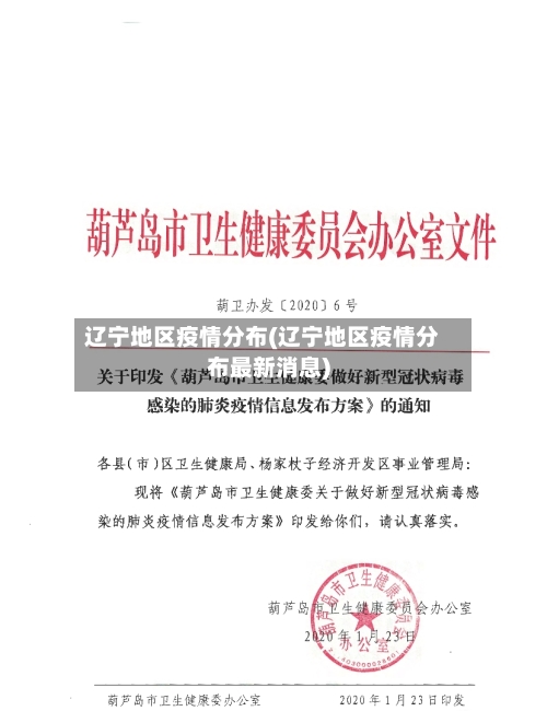 辽宁地区疫情分布(辽宁地区疫情分布最新消息)