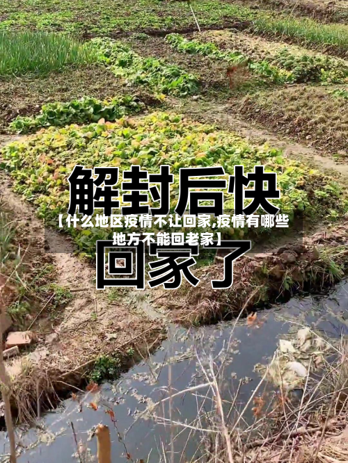 【什么地区疫情不让回家,疫情有哪些地方不能回老家】-第2张图片
