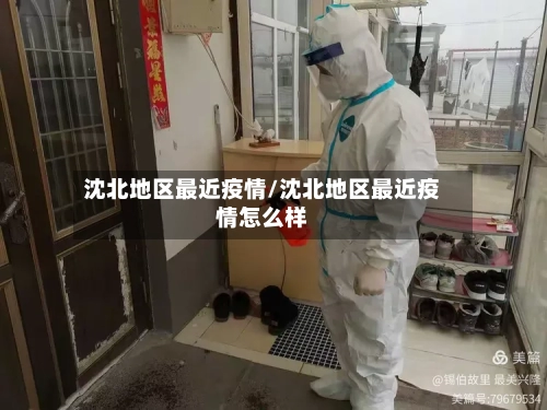 沈北地区最近疫情/沈北地区最近疫情怎么样