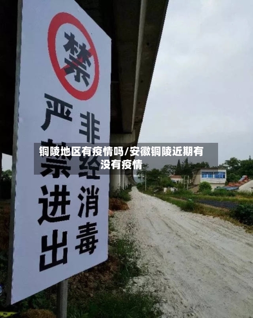 铜陵地区有疫情吗/安徽铜陵近期有没有疫情