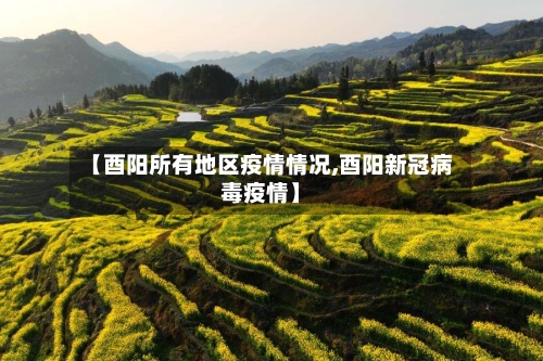 【酉阳所有地区疫情情况,酉阳新冠病毒疫情】-第2张图片