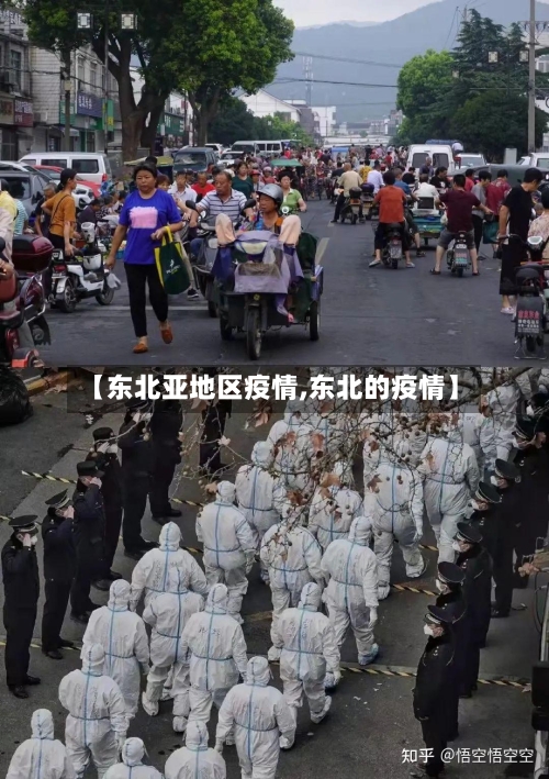 【东北亚地区疫情,东北的疫情】-第3张图片