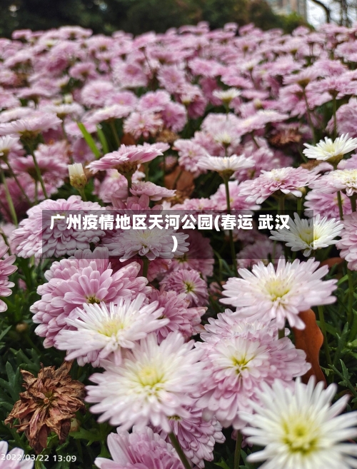 广州疫情地区天河公园(春运 武汉)-第2张图片