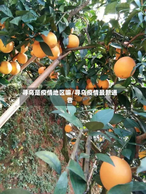 寻乌是疫情地区嘛/寻乌疫情最新通告