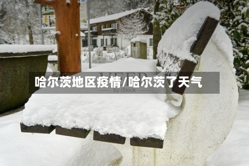 哈尔茨地区疫情/哈尔茨了天气