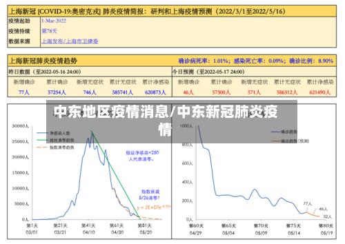 中东地区疫情消息/中东新冠肺炎疫情