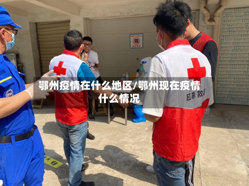 鄂州疫情在什么地区/鄂州现在疫情什么情况-第2张图片