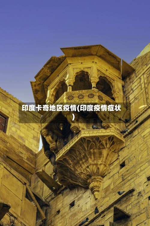 印度卡奇地区疫情(印度疫情症状)