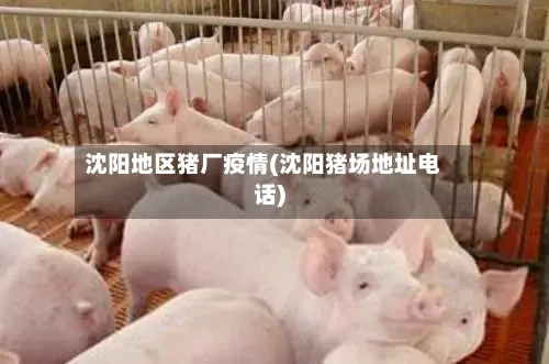 沈阳地区猪厂疫情(沈阳猪场地址电话)