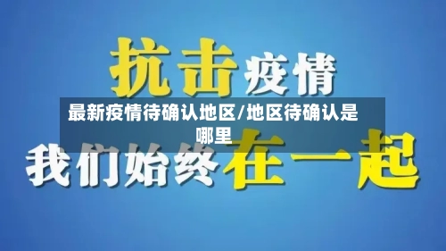 最新疫情待确认地区/地区待确认是哪里