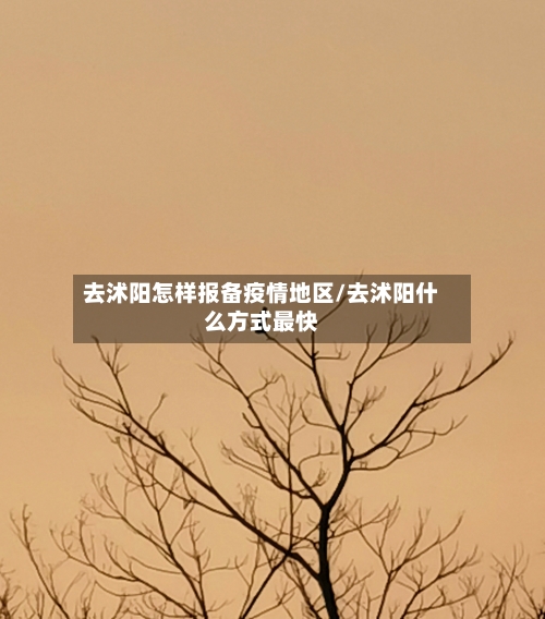 去沭阳怎样报备疫情地区/去沭阳什么方式最快
