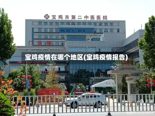 宝鸡疫情在哪个地区(宝鸡疫情报告)-第2张图片